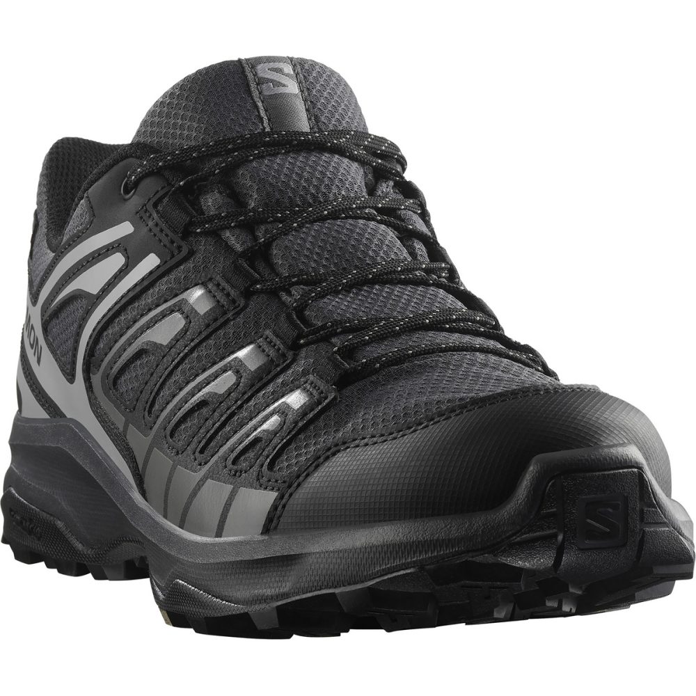 Salomon Herren Extegra GTX Schuhe