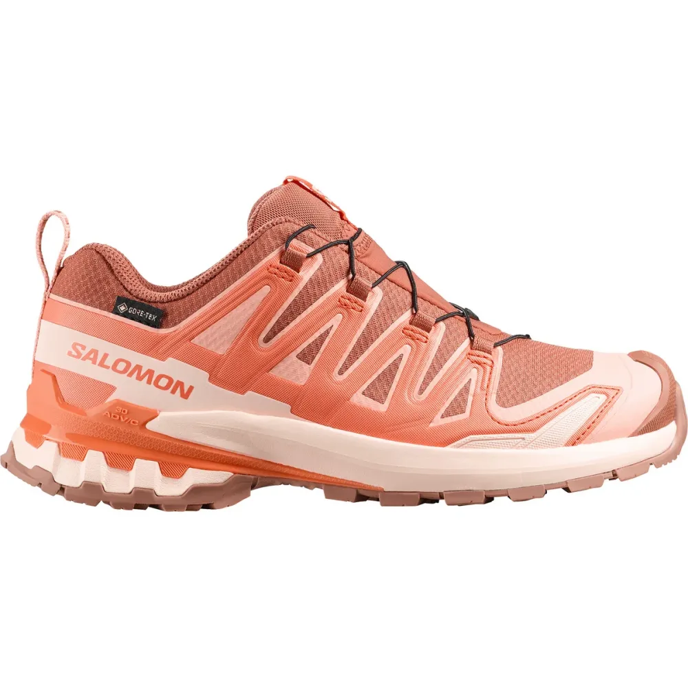 Salomon Damen Xa Pro 3D V9 GTX Schuhe