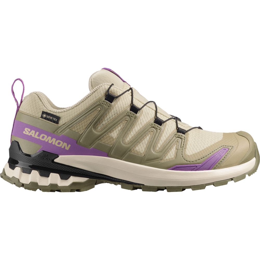 Salomon Damen Xa Pro 3D V9 GTX Schuhe