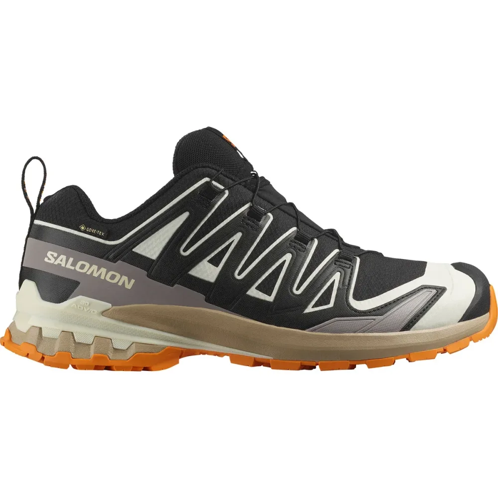 Salomon Herren XA Pro 3D V9 GTX Schuhe