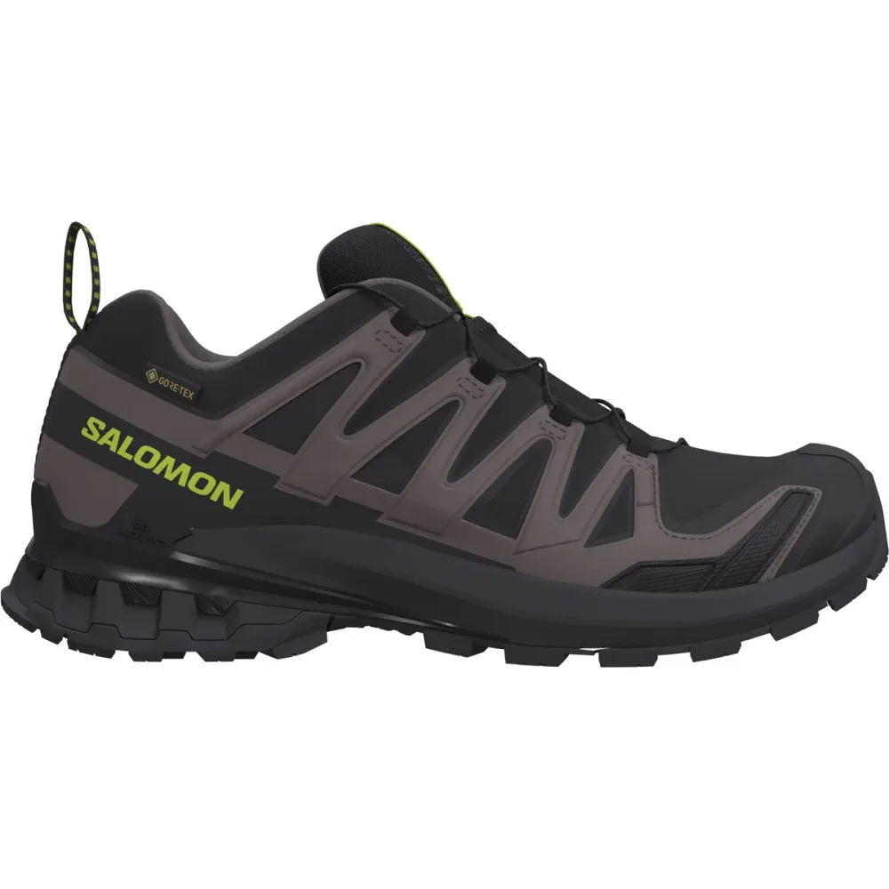 Salomon Herren XA Pro 3D V9 GTX Schuhe