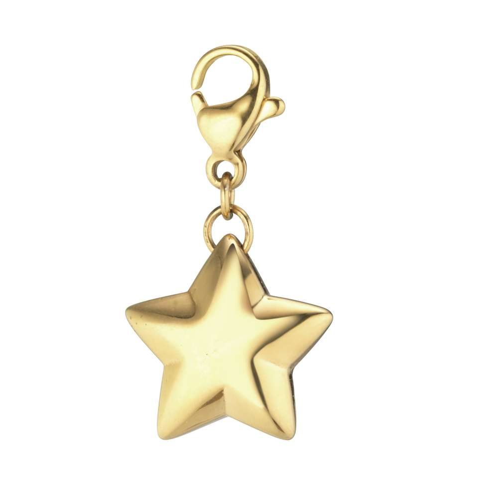 Chirurgenstahl-Charm