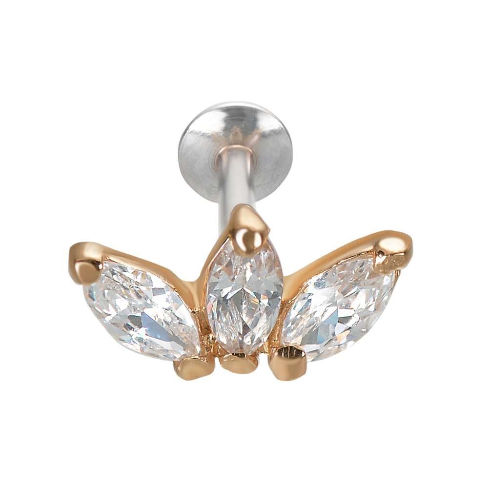Silber-Ohrpiercing