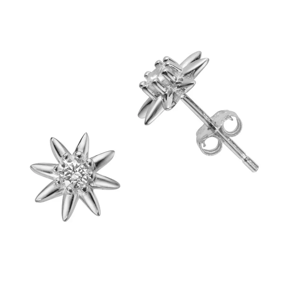 Silber-Ohrstecker