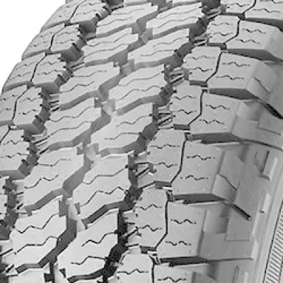 Wrangler All-Terrain Adventure owl