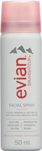 Evian Brumisateur Gesichtsspray (50ml)
