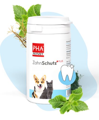 PHA Zahnschutz Plus für Hunde und Katzen