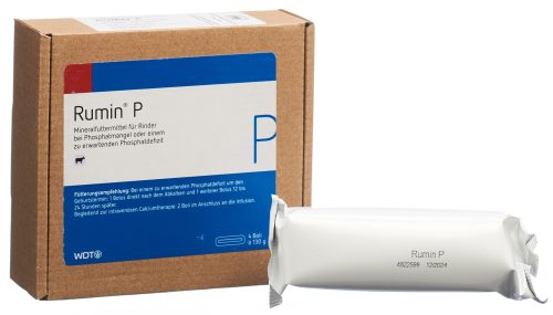 WDT Rumin P Phosphorbolus für Rinder