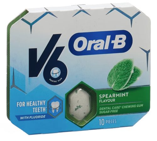 V6 Oral-B Kaugummi Spearmint (12x10 Stk)