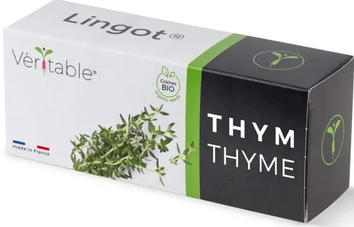 VÉRITABLE, VÉRITABLE Lingot Gemüsegarten Thyme Grün