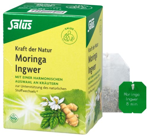 Salus Moringa Ingwer Bio Tee (15 Stk)