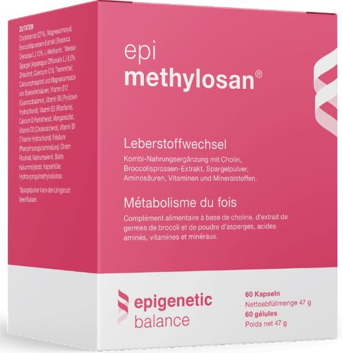 epi methylosan Kapseln (60 Stk)