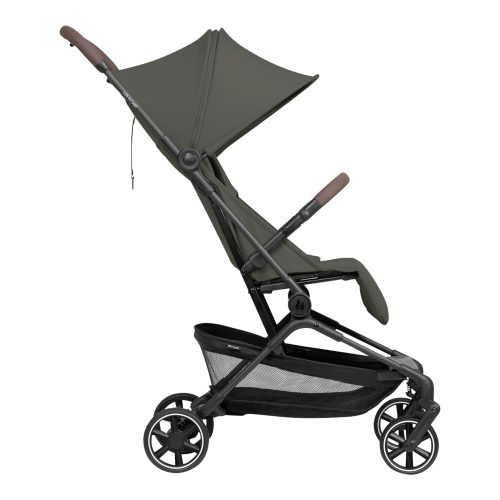 Buggy Lite N Care