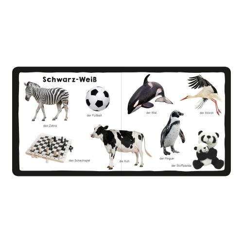 Pappbilderbuch Mein erstes dickes Farbenbuch