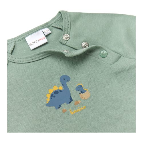 Raglanshirt langarm Dino