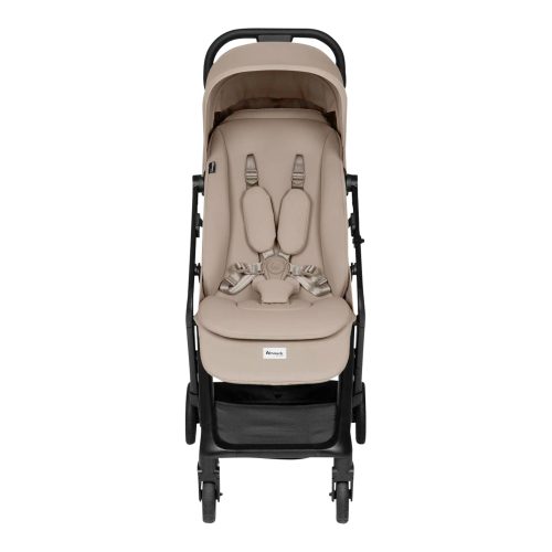 Buggy Fly N Care