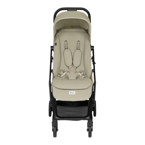 Buggy Fly N Care