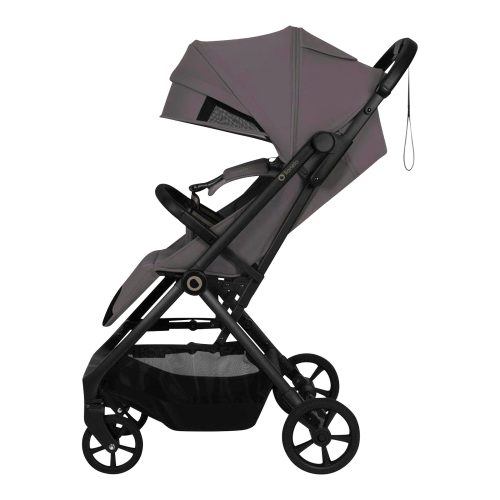 Buggy TANSI