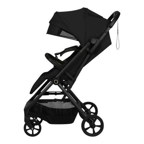 Buggy TANSI