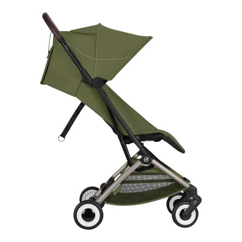 Buggy ORFEO