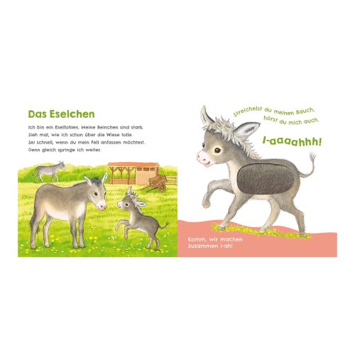 Mein erstes Streichel-Soundbuch 2: Hör mal wie ich miauen kann