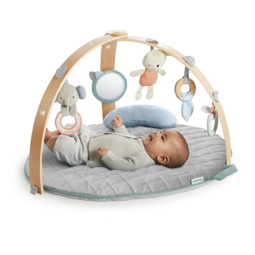 Ingenuity, ingenuity™ Cozy Spot Spieldecke mit Holzspielbogen