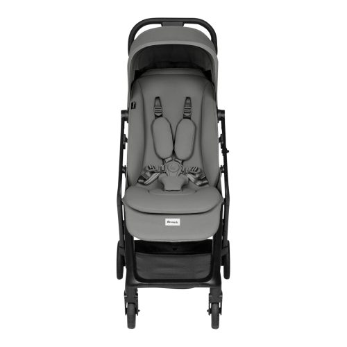 Buggy Fly N Care