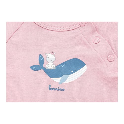 Raglanshirt langarm Wal