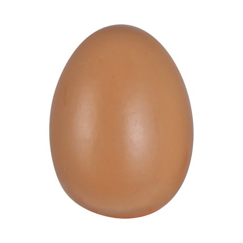 Eichhorn Holz-Lebensmittel EIER 7-teilig