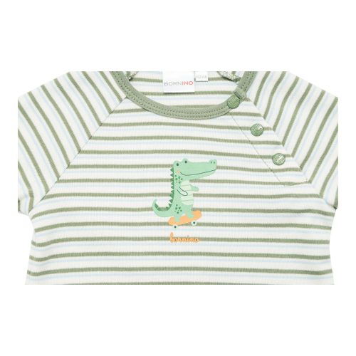 Raglanshirt langarm