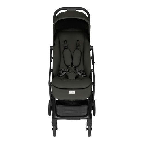 Buggy Fly N Care