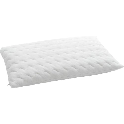 Billerbeck, billerbeck Hirsekissen 40 x 60 cm
