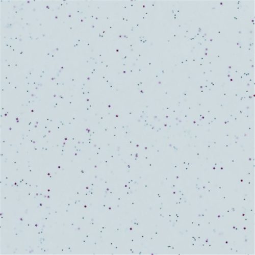 Diverse Tablett Roltex Grau Kunstharz 53 cm 32.5 cm - Material: Melamin - Tablett