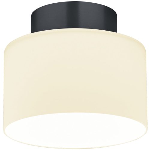 Designer-Deckenlampe Bankamp Grand opal anthrazit D 20 cm - Farbe: anthrazit matt eloxiert - LED - Lichtfarbe: Extra warmweiss - Material: