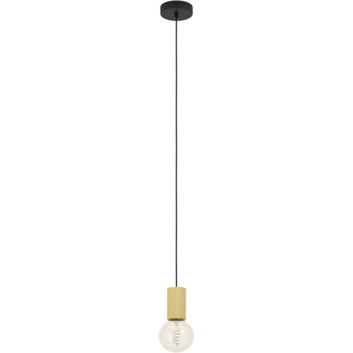 Eglo, Hängeleuchte 900801*pozueta 1 6,5/110 cm  