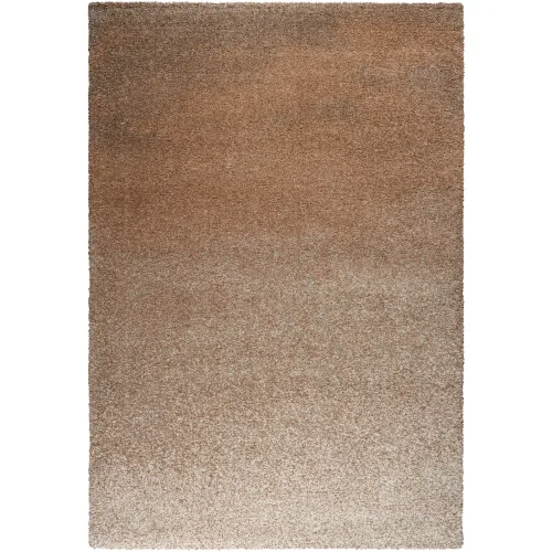 LIVIQUE, Teppich Veya Braun Polyethylen 120 cm 170 cm - Material: Polypropylen - Teppich