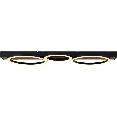 Deckenlampe Kaela Metall/Kunststoff schwarz 51W LED - LED- LED Energiesparlampe