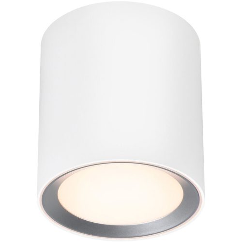 Nordlux, Nordlux Landon Long LED-Bad-Deckenleuchte LED LED 6.5 W Warmweiß bis Neutralweiß Weiß
