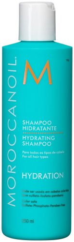 MOROCCANOIL, Moroccanoil Hydrating Shampoo 250ml