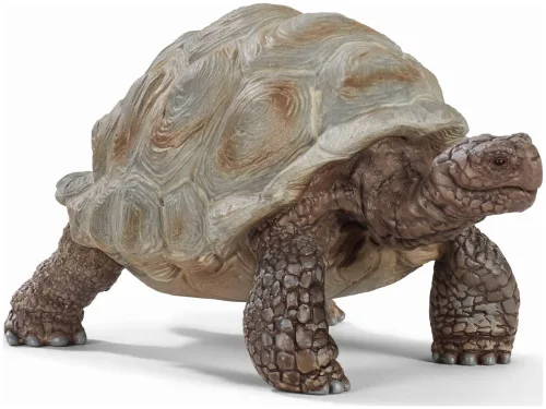 Schleich - 14824 Riesenschildkröte, Multicolor