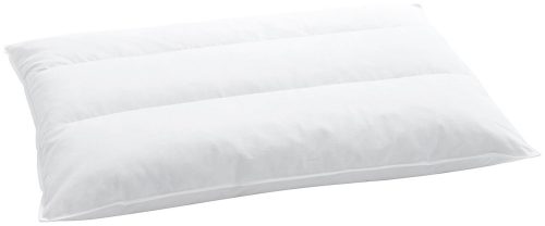 billerbeck Terzo 250 Kissen 65 x 65 cm