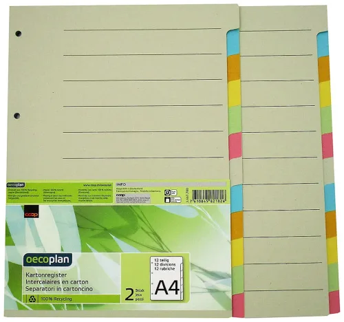 Oecoplan Kartonregister A4 12-teilig