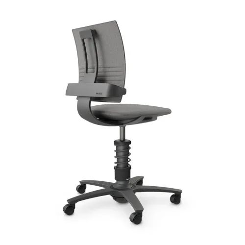 nv without armrests, Light grey/Black, New, Ergonomic chair - ideal for flexible working