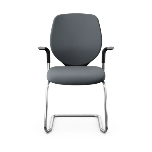 GIROFLEX, Giroflex 353 cantilever conference chair with fixed armrests, Gray/Chrome-plated, New