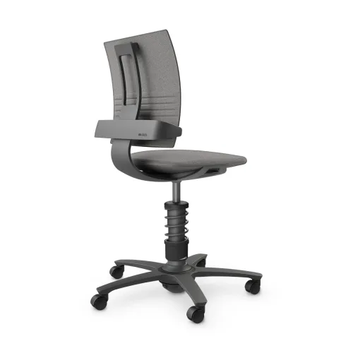 AERIS, nv without armrests, Light grey/Black, New, Ergonomic chair - ideal for flexible working
