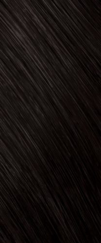 Goldwell Topchic Zero 2N Schwarz 60 ml