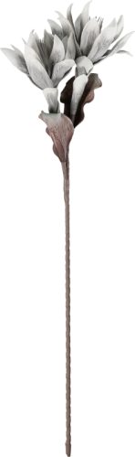 EGLO Kunstblume MOLAVE 428123 grau