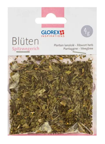 GLOREX Spitzwegerich 4g 61601106 gr&uuml;n