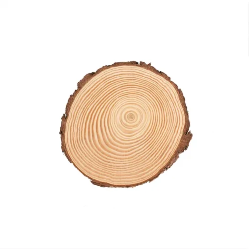 GLOREX Holzscheibe 15x1.5cm 67026751