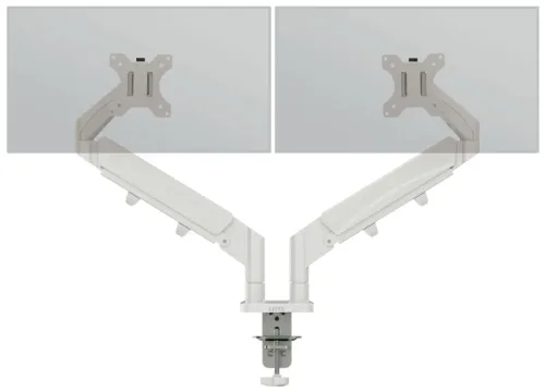 LEITZ Monitorarm Ergo 6537-00-85 Grau, dual